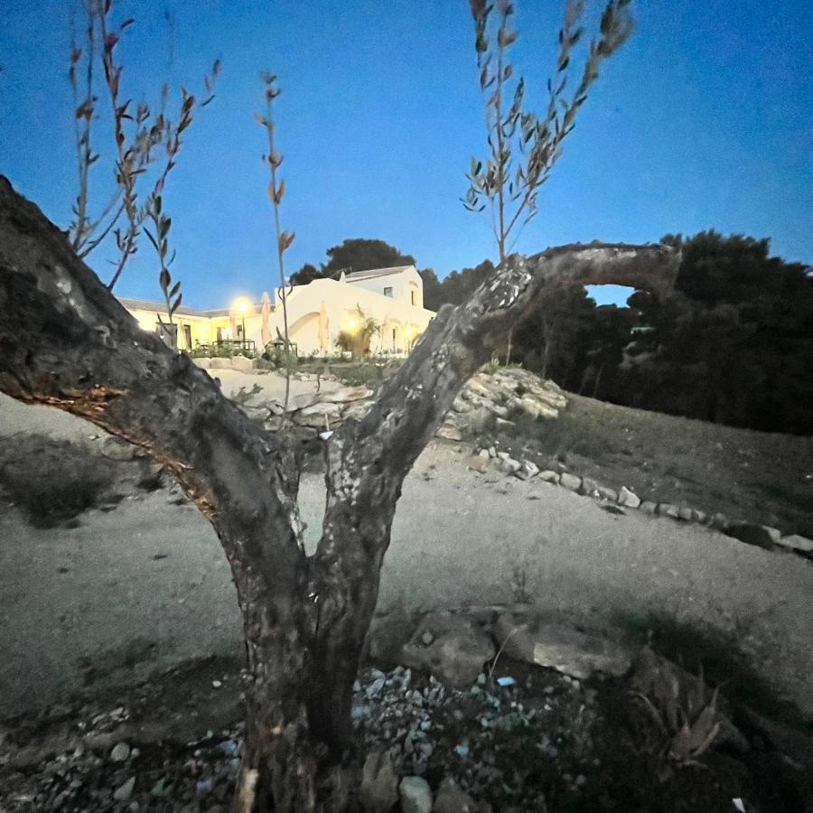 Manzil Country House Valderice Dış mekan fotoğraf