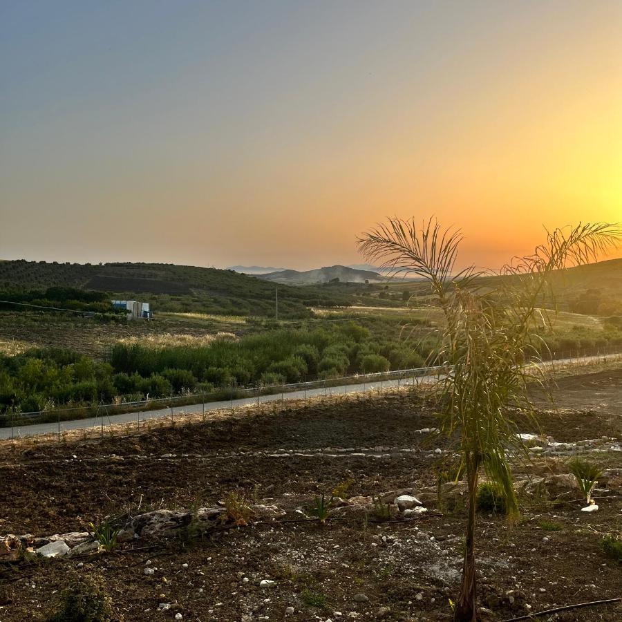 Manzil Country House Valderice Dış mekan fotoğraf